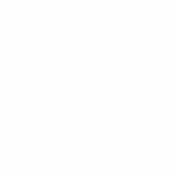 05tintomax